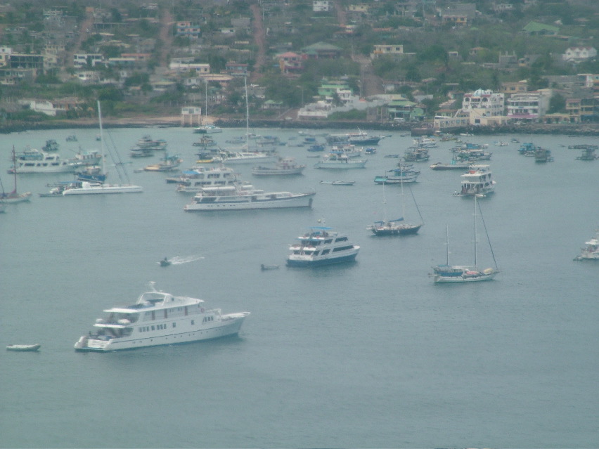 DSCF3175.JPG