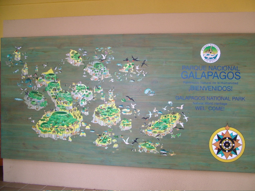DSCF3734.JPG