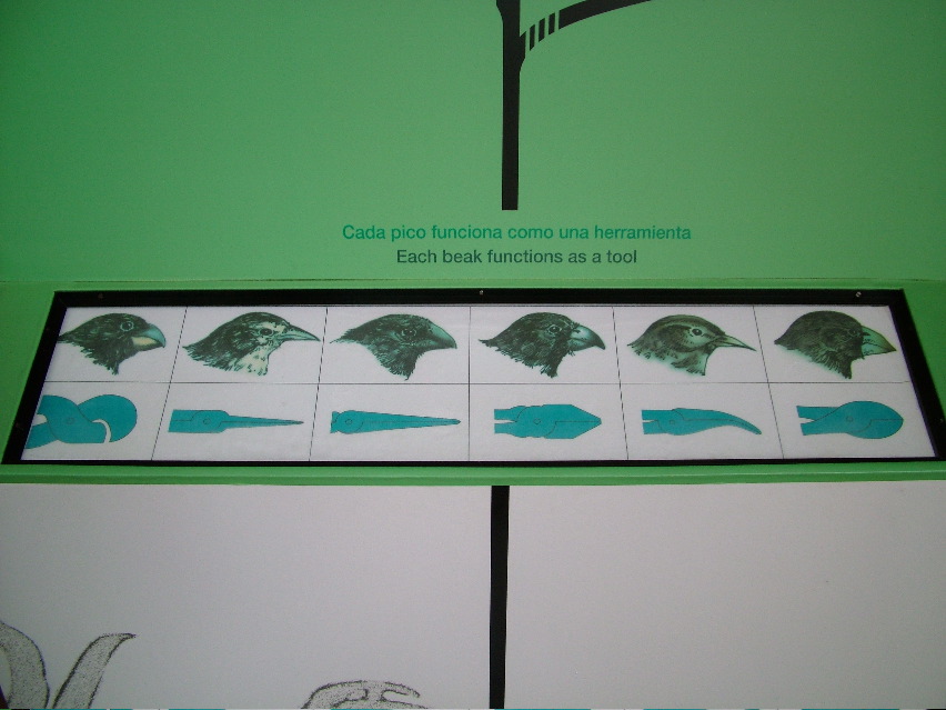 DSCF3735.JPG