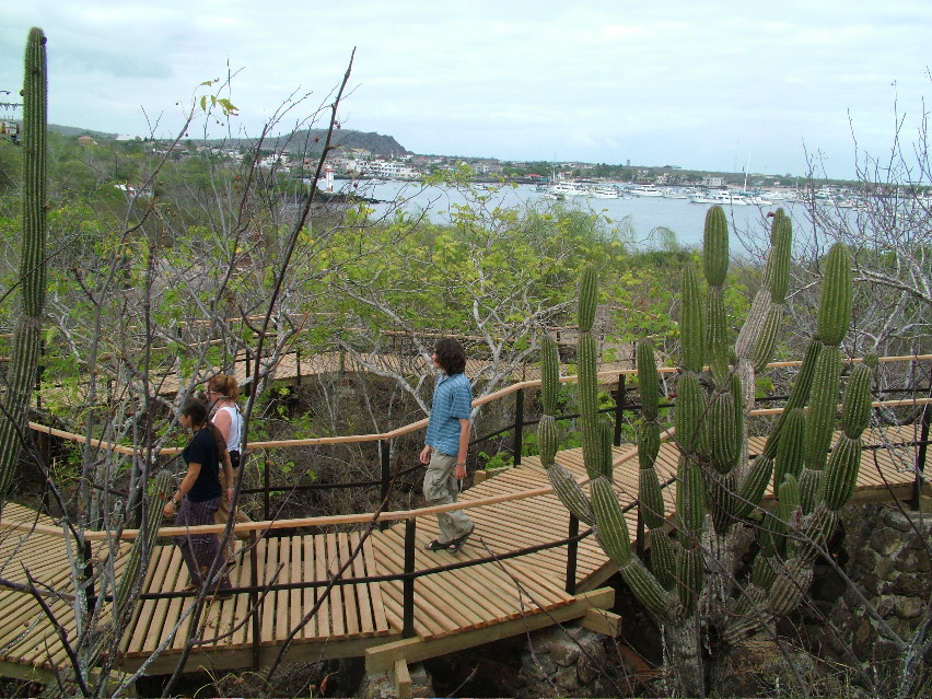 DSCF3738.JPG