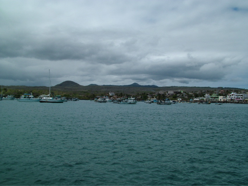 DSCF3181.JPG