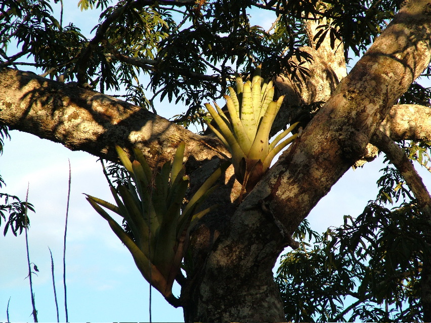 DSCF3126.JPG