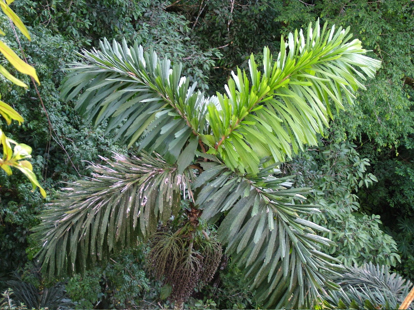 DSCF3127.JPG