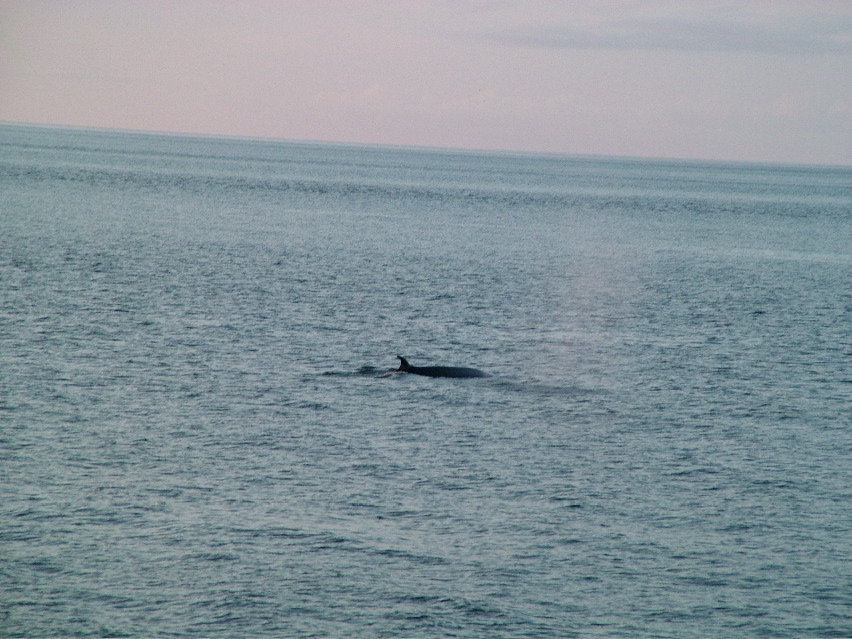 DSCF3213.JPG