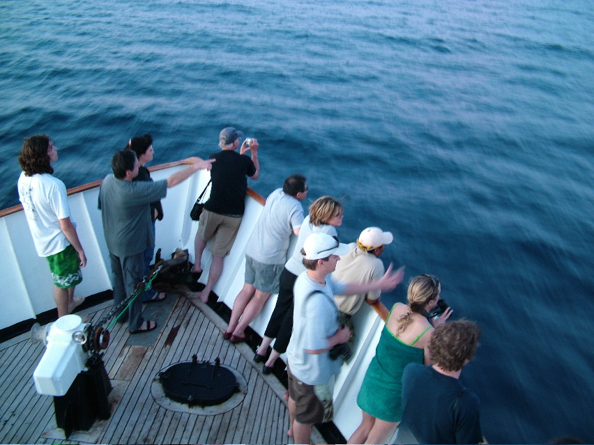 DSCF3215.JPG