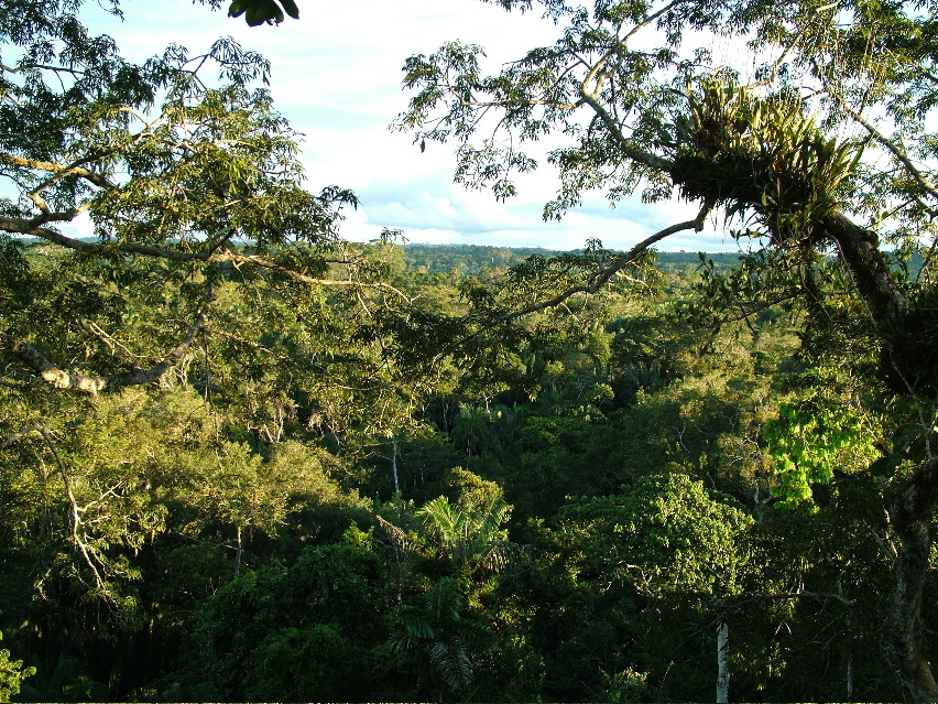 DSCF3128.JPG