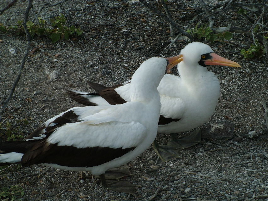 DSCF3221.JPG
