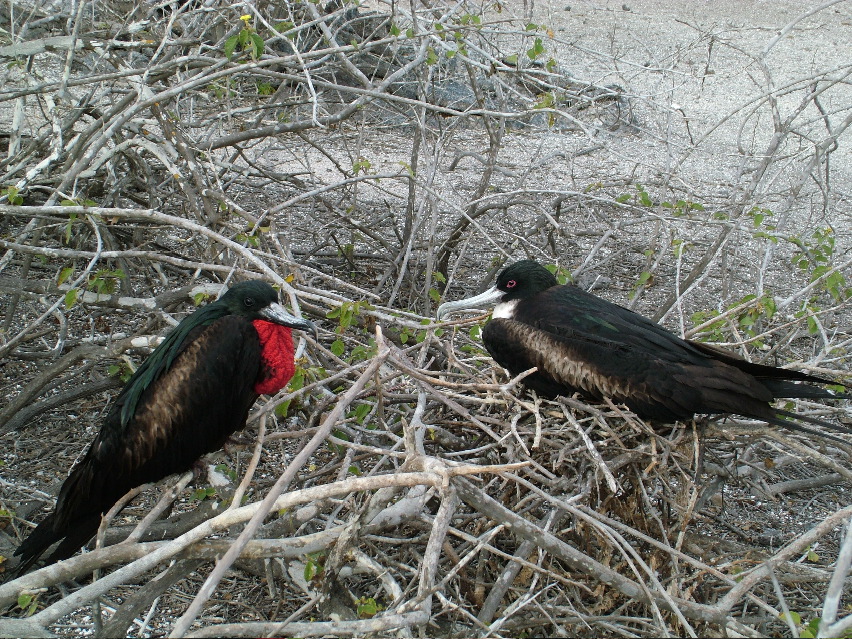 DSCF3224.JPG