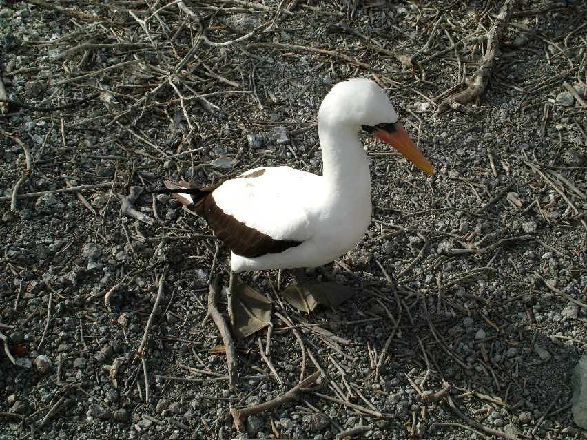 DSCF3226.JPG
