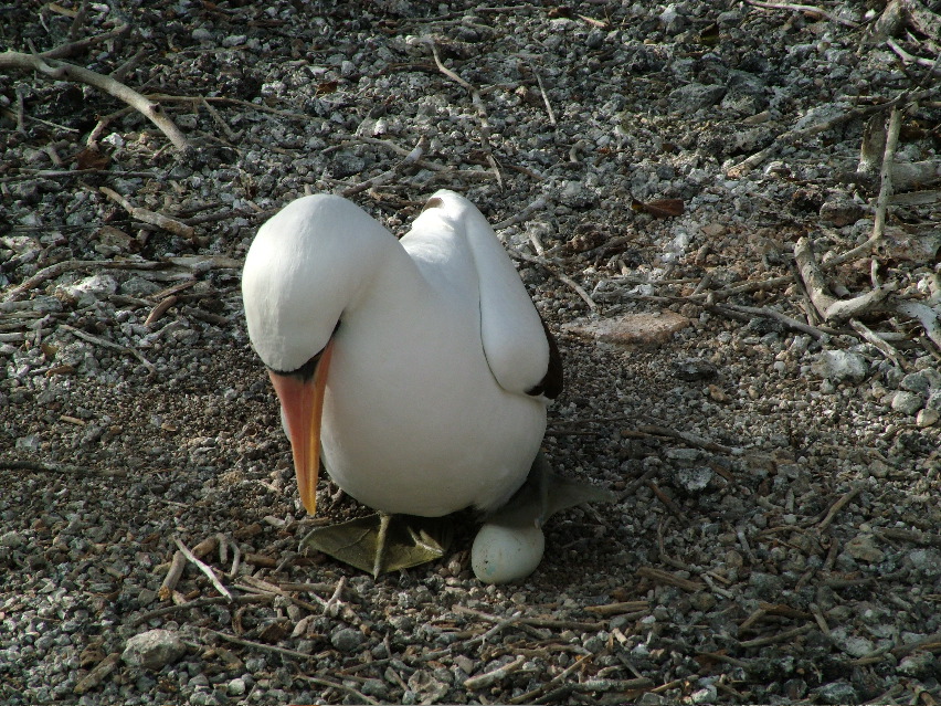 DSCF3227.JPG