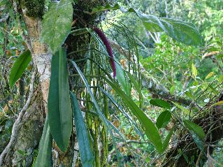 DSCF3119.JPG