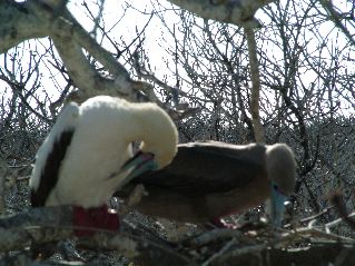 DSCF3230.JPG