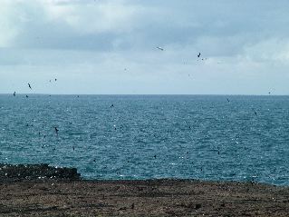 DSCF3235.JPG