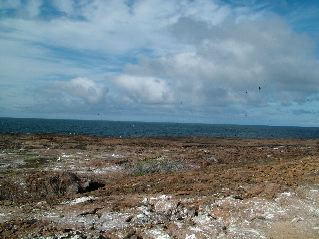 DSCF3238.JPG