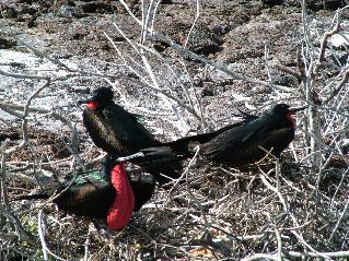 DSCF3239.JPG