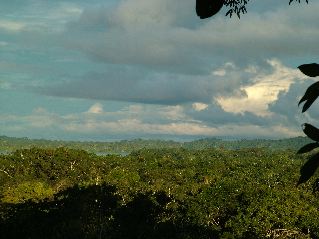 DSCF3130.JPG