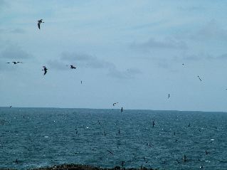DSCF3240.JPG