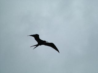 DSCF3245.JPG