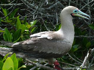 DSCF3258.JPG