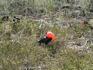 DSCF3263.JPG