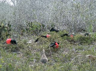 DSCF3265.JPG
