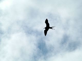 DSCF3267.JPG