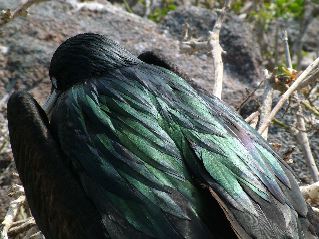 DSCF3270.JPG