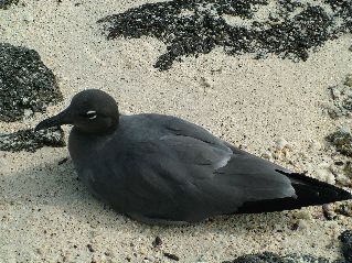 DSCF3275.JPG