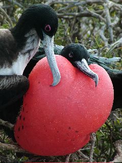 DSCF3280.JPG