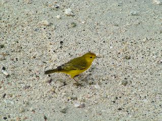 DSCF3282.JPG