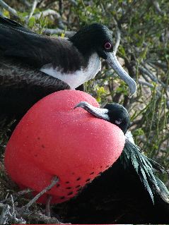 DSCF3285.JPG