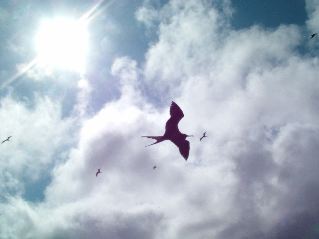 DSCF3286.JPG