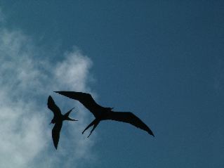 DSCF3287.JPG