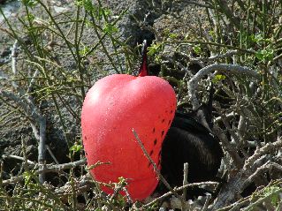 DSCF3291.JPG