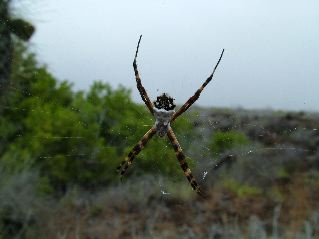 DSCF3304.JPG
