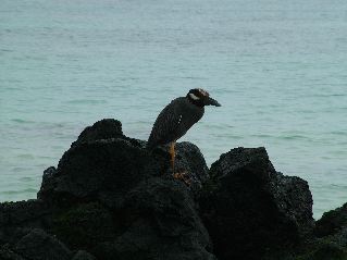 DSCF3307.JPG
