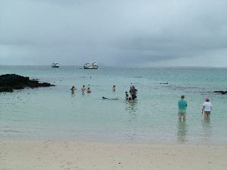 DSCF3313.JPG