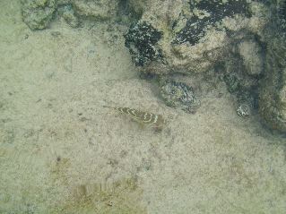 DSCF3316.JPG