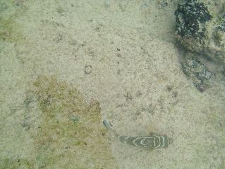 DSCF3317.JPG