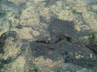 DSCF3319.JPG