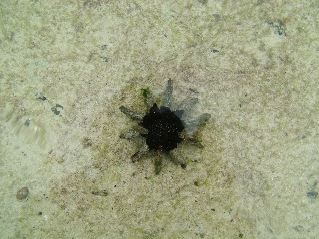 DSCF3324.JPG
