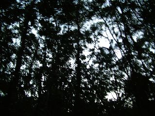 DSCF3137.JPG