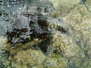 DSCF3329.JPG