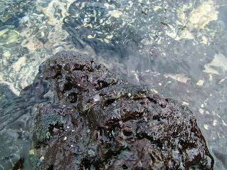 DSCF3330.JPG
