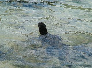 DSCF3331.JPG