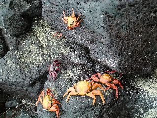 DSCF3336.JPG
