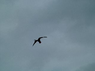 DSCF3365.JPG