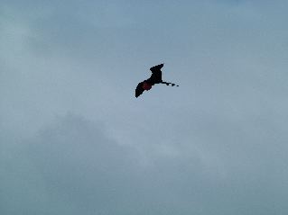 DSCF3366.JPG