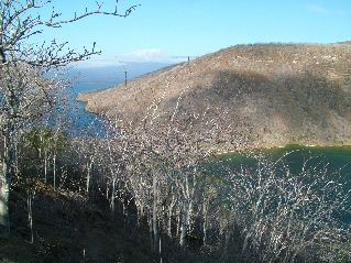 DSCF3388.JPG