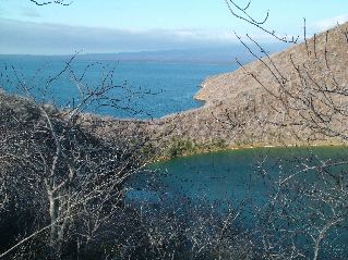 DSCF3390.JPG